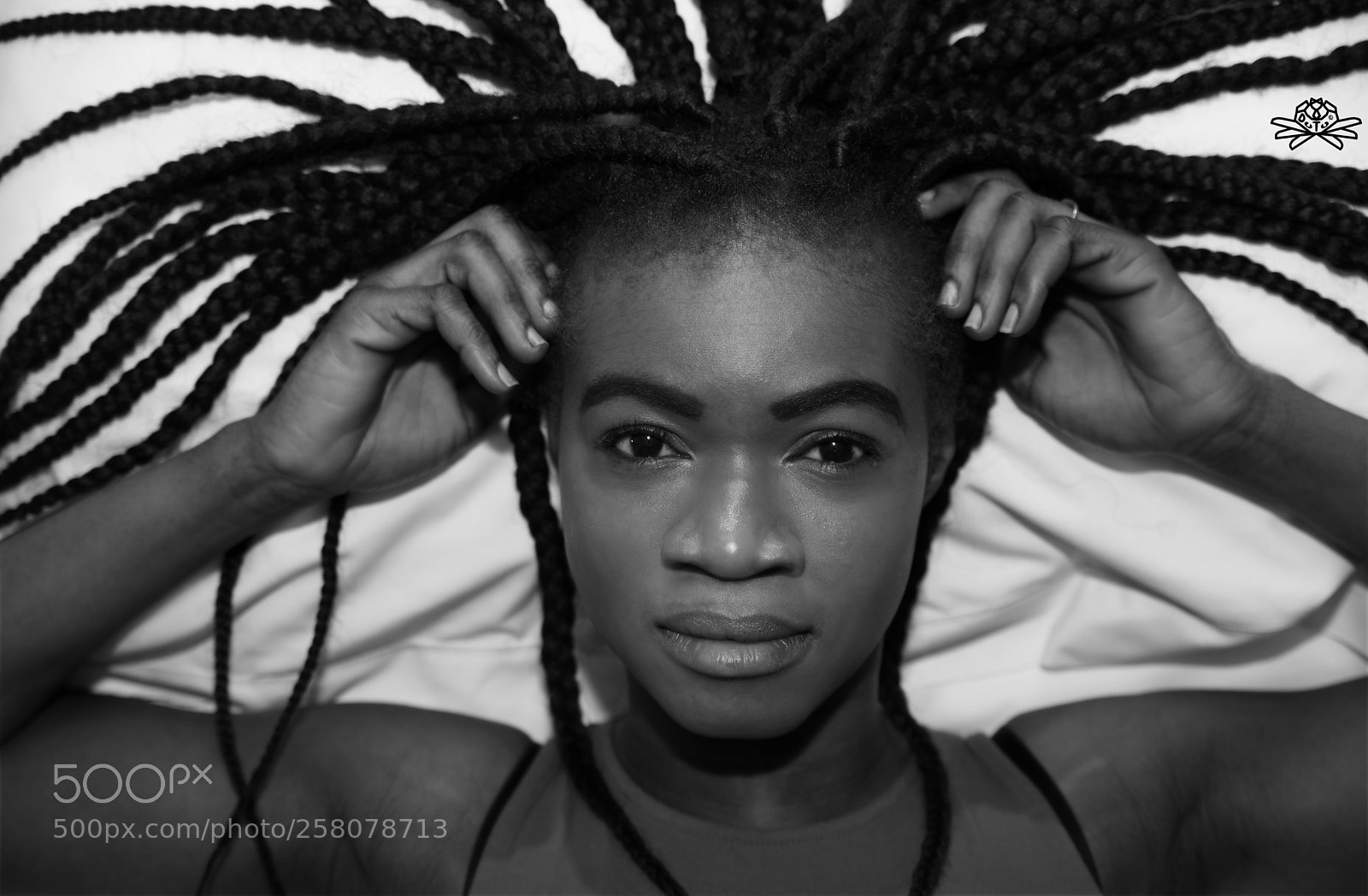 Nikon D850 sample photo. Black is back photography
