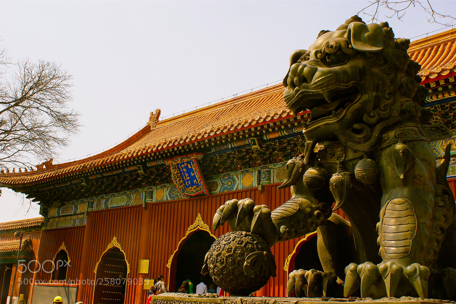 Sony Alpha DSLR-A350 sample photo. Liondog at lama palace photography