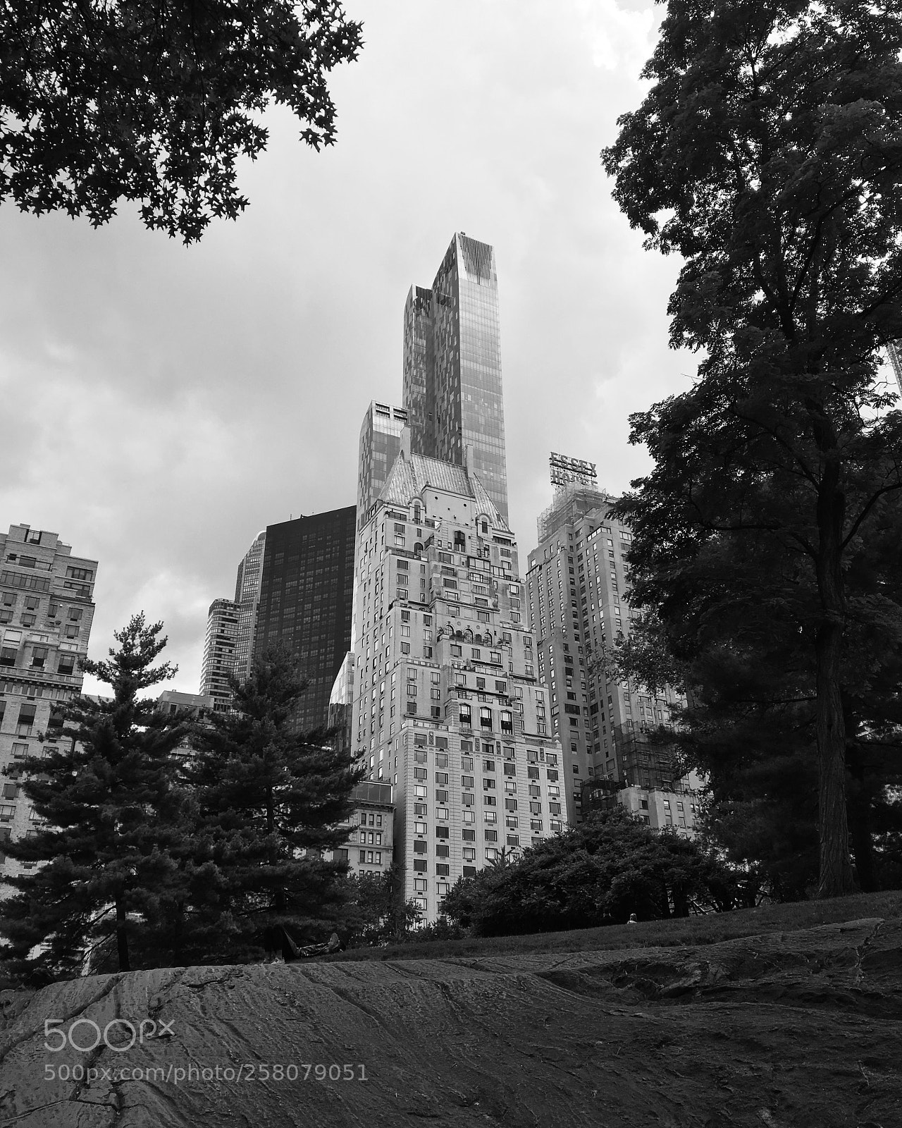 Apple iPhone 6s sample photo. Black white picture of photography