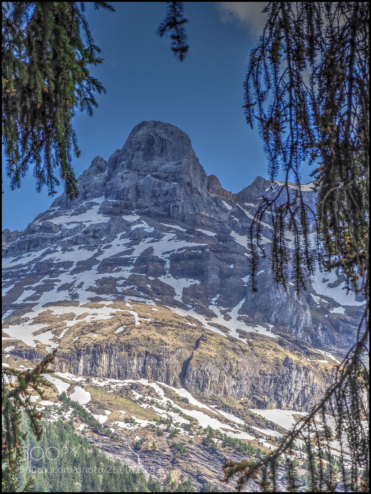 Olympus OM-D E-M1 Mark II sample photo. Gitschen photography