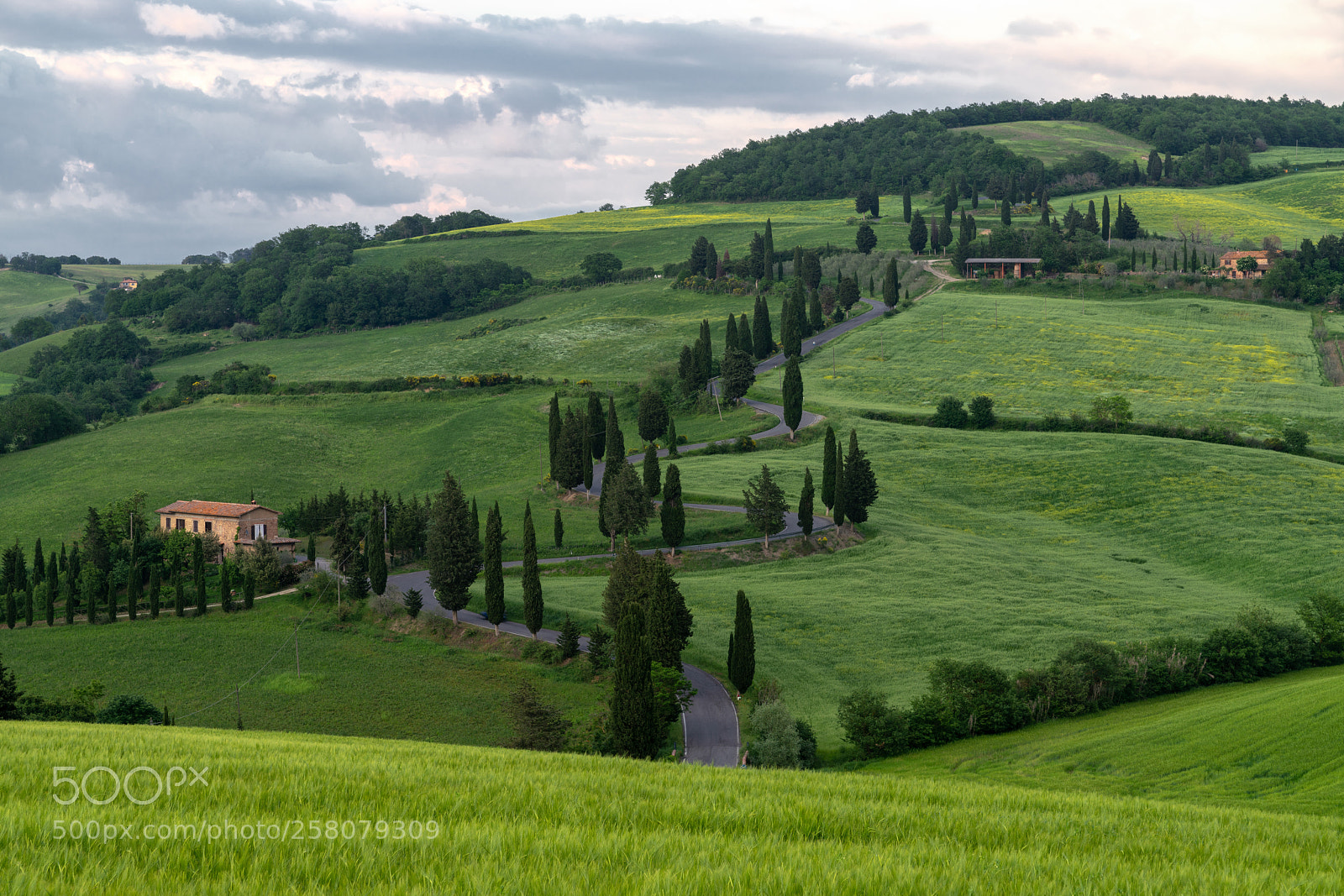 Sony a99 II sample photo. Monticchiello roads val d'orcia photography