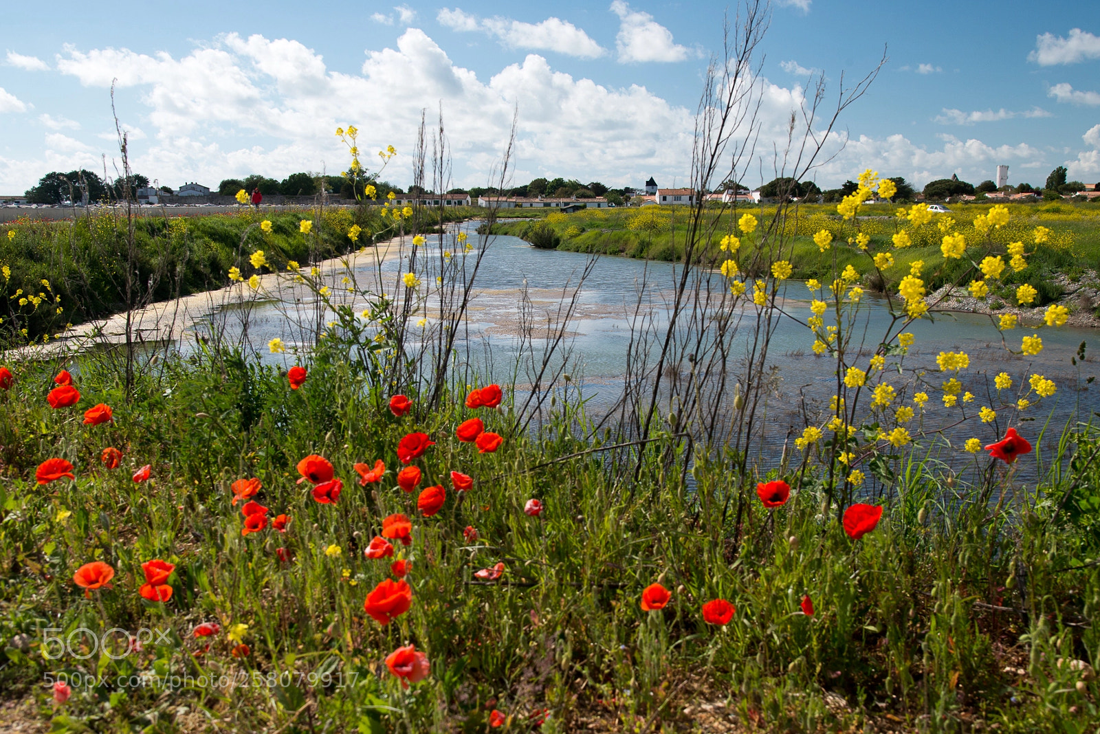 Nikon D800 sample photo. Village de loix photography