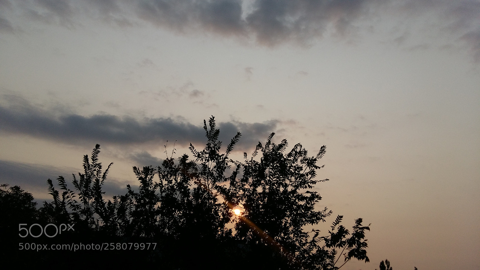 Samsung Galaxy A5 sample photo. Dawn photography