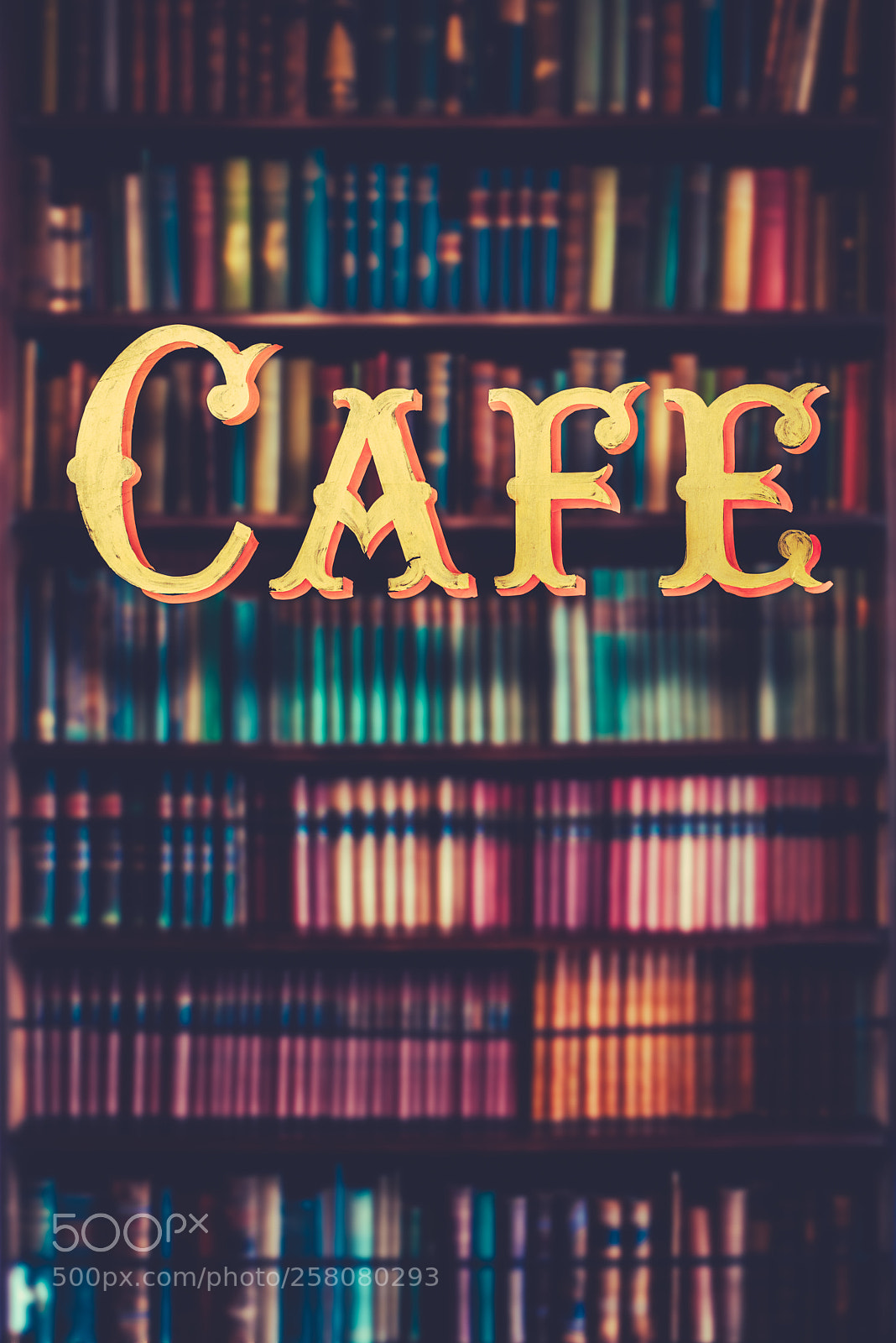 Nikon D800 sample photo. Book store cafe photography