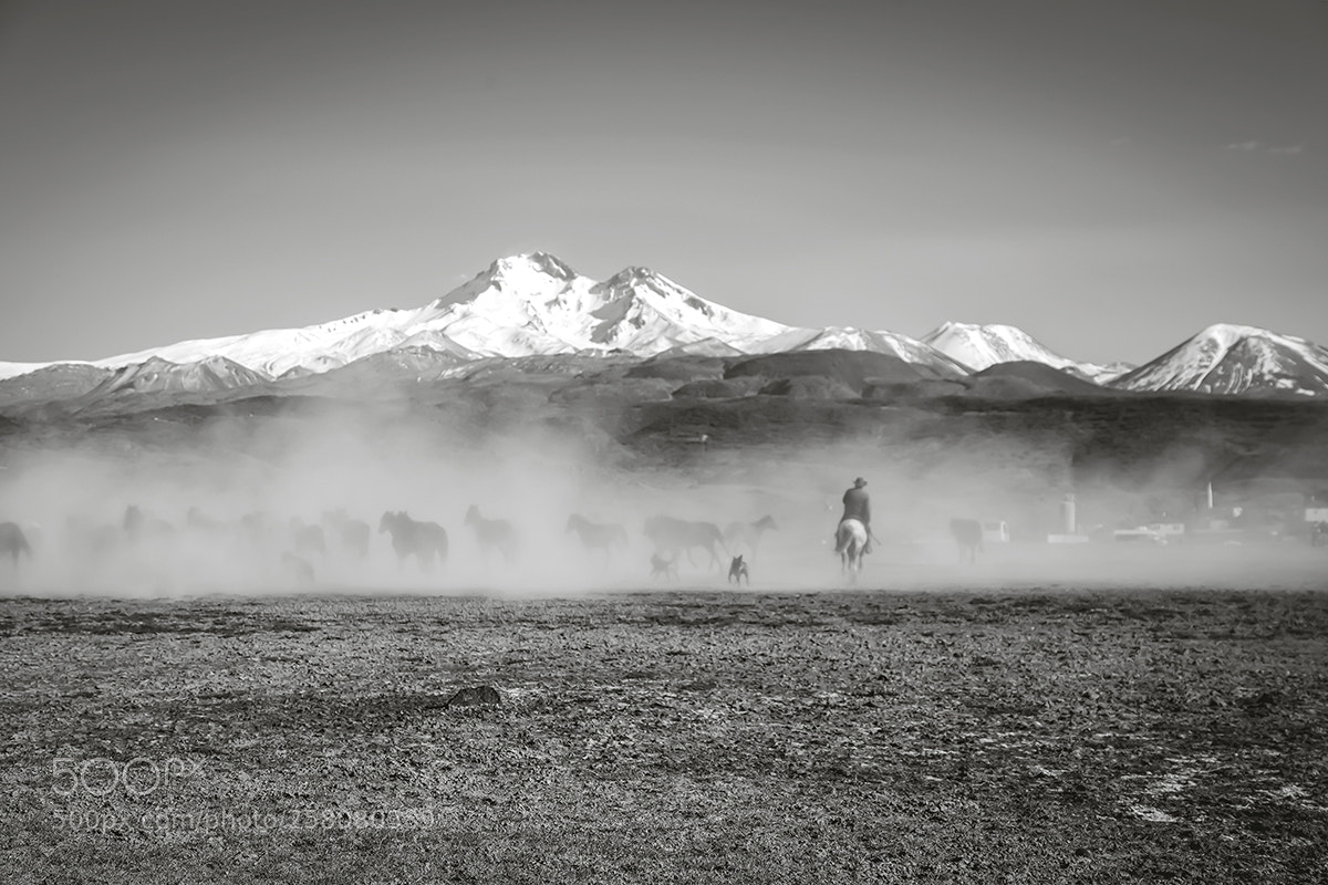 Fujifilm X-T2 sample photo. Hörmetçi village photography