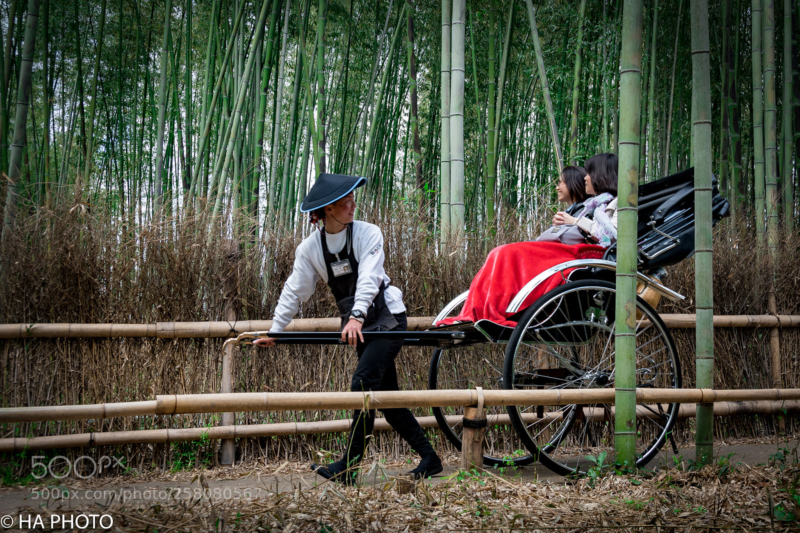 Nikon D7500 sample photo. Pulling through bamboo forest photography