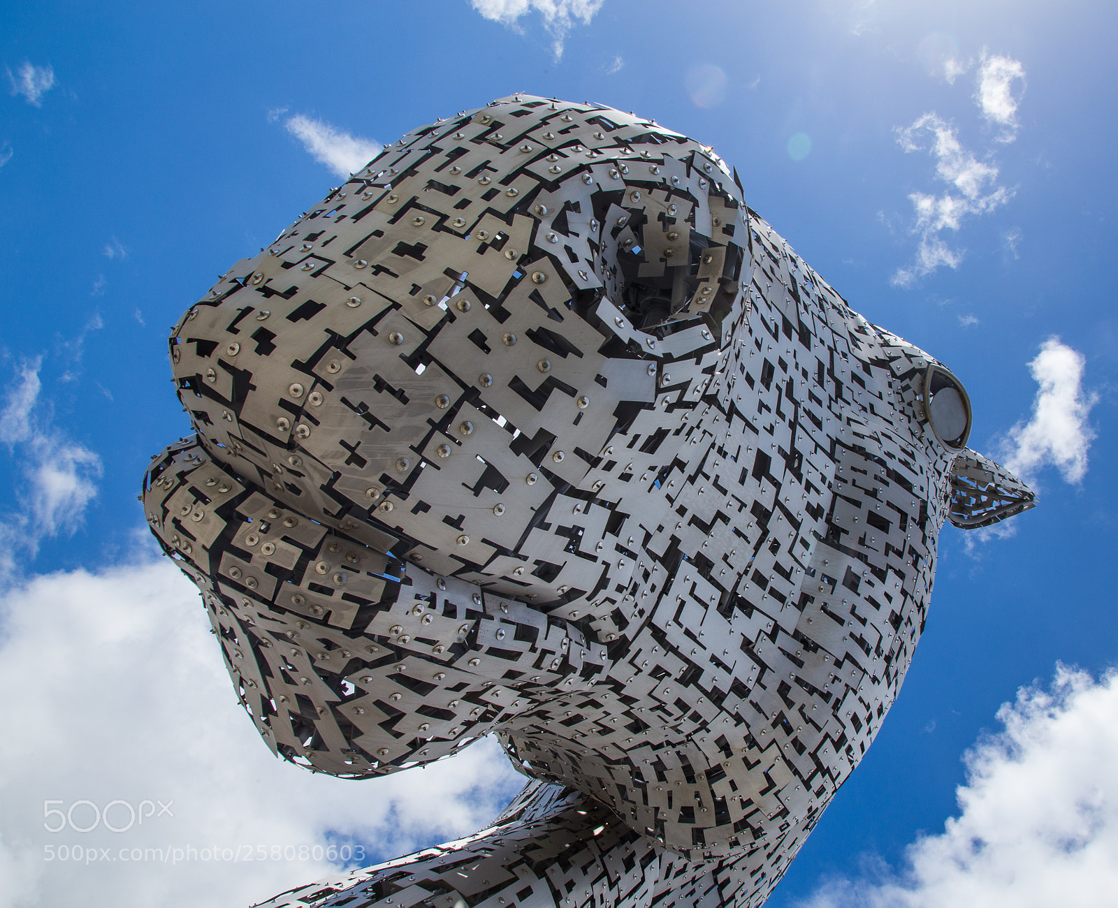 Canon EOS 6D sample photo. Mg photography