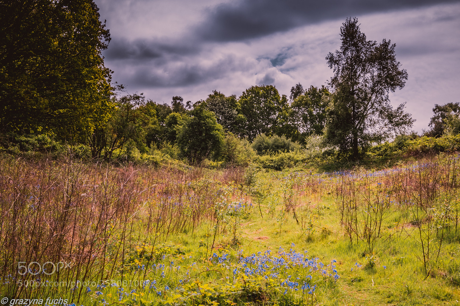 Nikon D3300 sample photo. Headley heath photography
