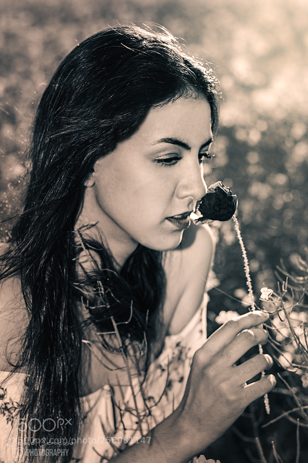 Canon EOS 70D sample photo. Nerea iii photography