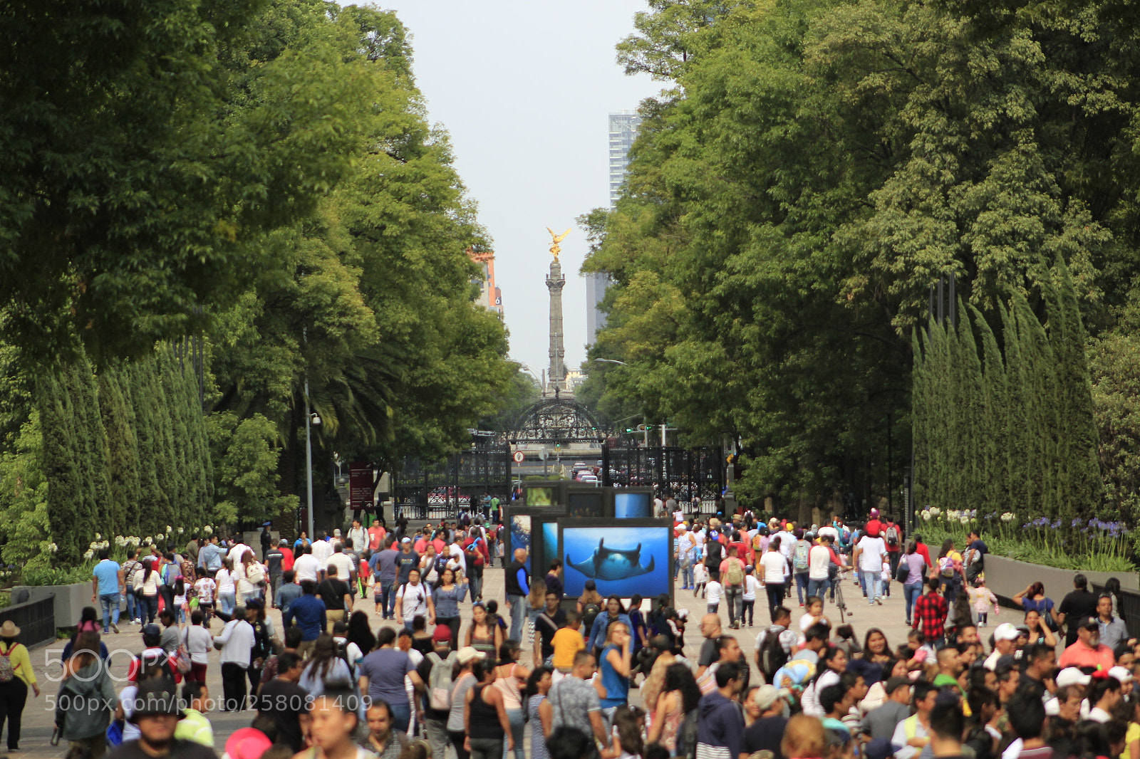 Canon EF 75-300mm f/4-5.6 sample photo. Ángel de la independencia photography