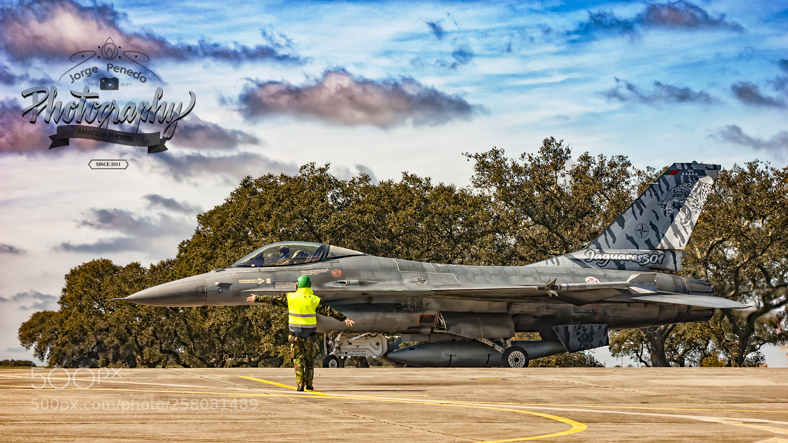 Sony Alpha DSLR-A390 sample photo. 15106 lockheed martin f-16 photography
