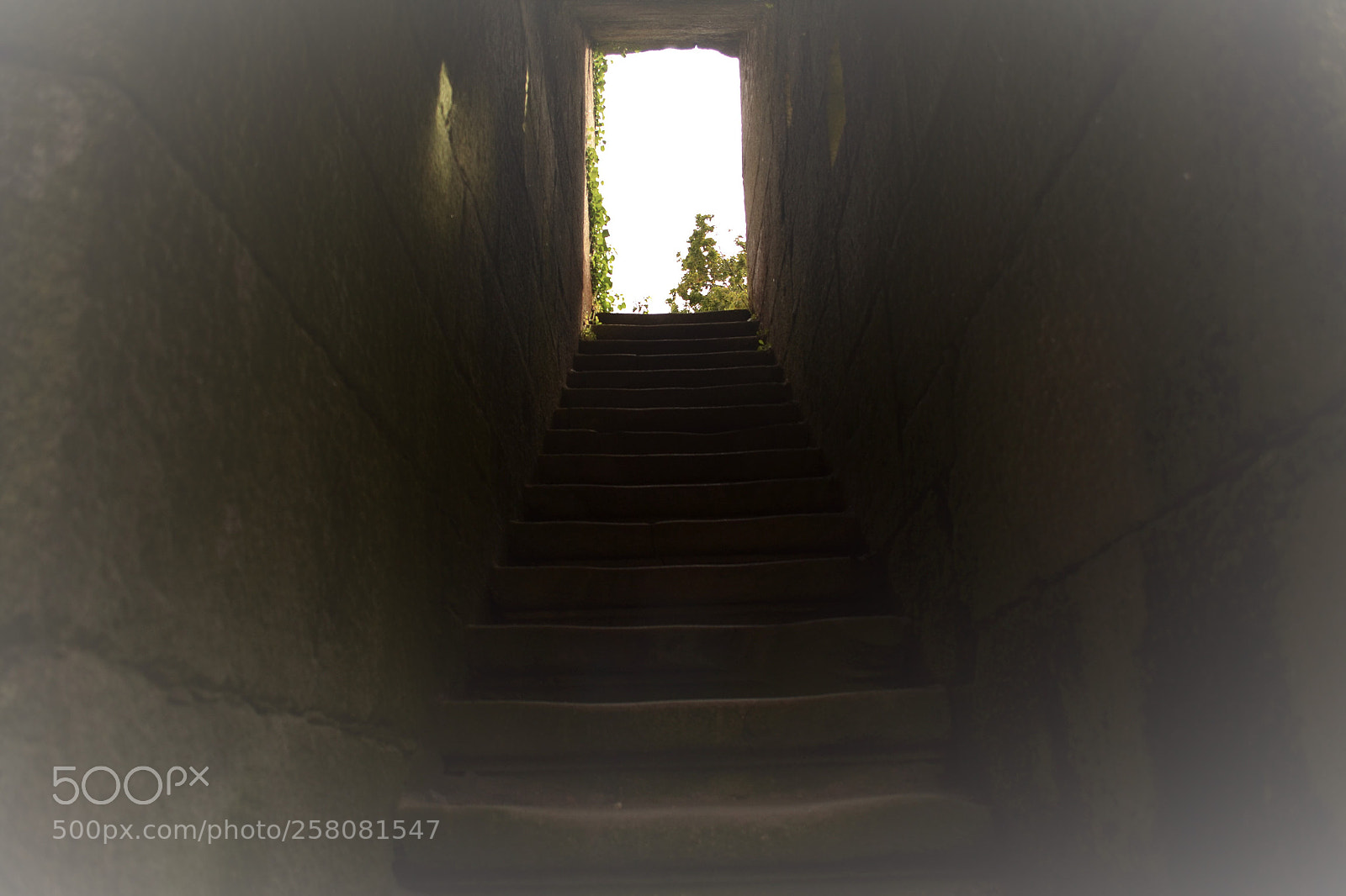 Nikon D3100 sample photo. Escaleira a donde photography