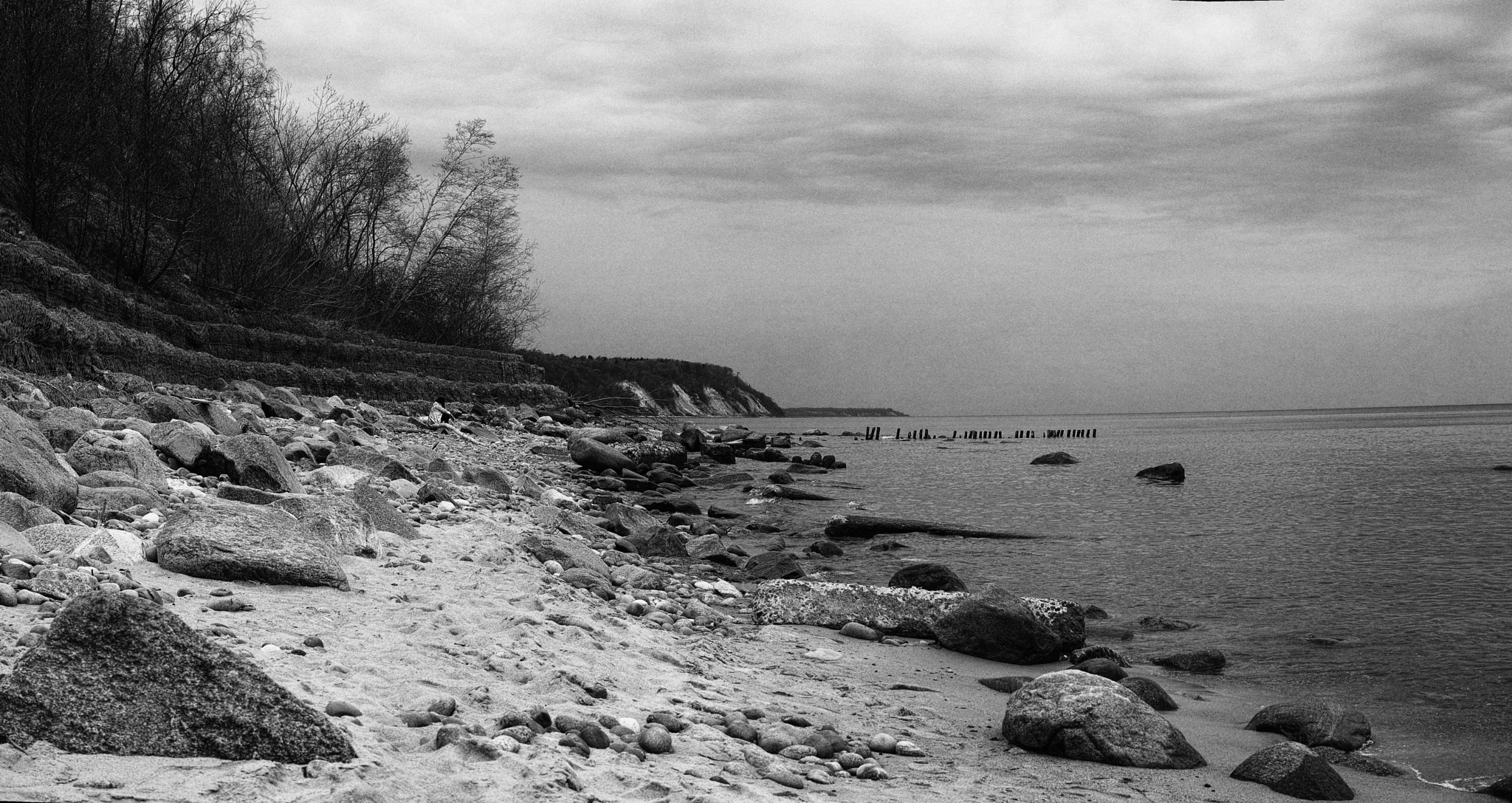 Sigma DP2 Merrill sample photo. Baltic sea coast photography