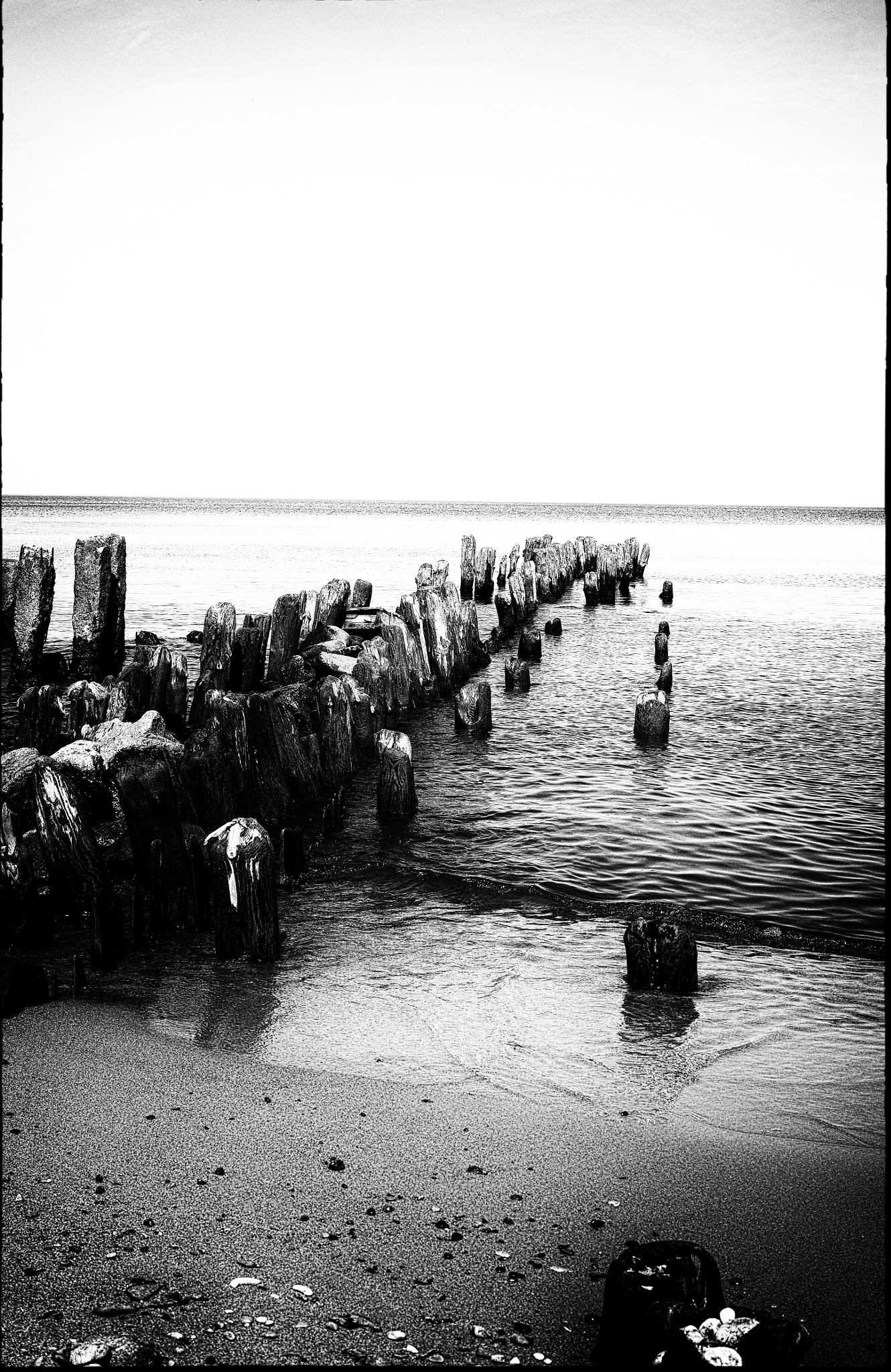 Sigma DP2 Merrill sample photo. Groynes on the baltic sea photography