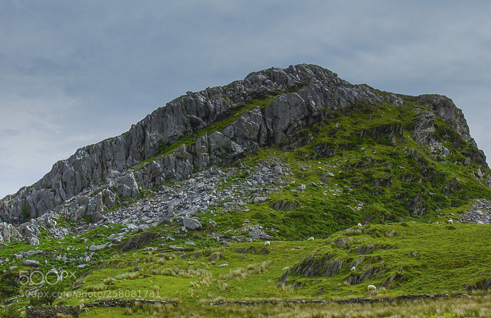Canon EOS 600D (Rebel EOS T3i / EOS Kiss X5) sample photo. Rock and sheep photography