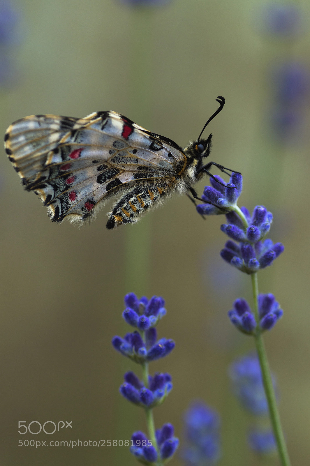 Nikon D3200 sample photo. Taking a rest photography