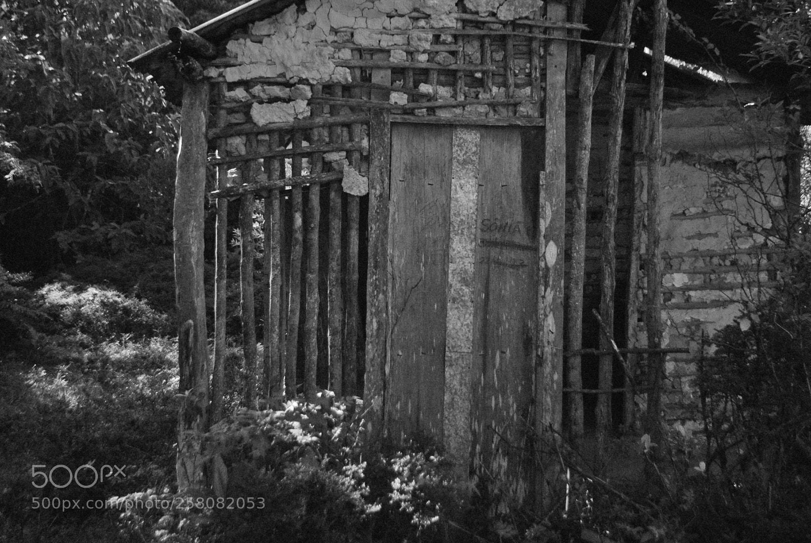 Nikon D3000 sample photo. Old house photography