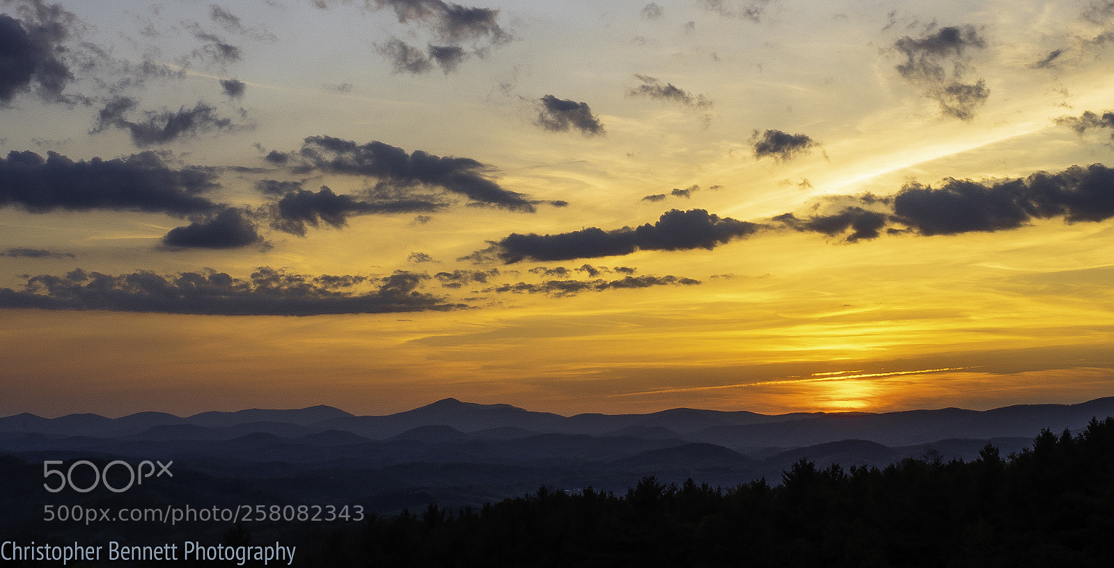Nikon D850 sample photo. Golden hour on the photography