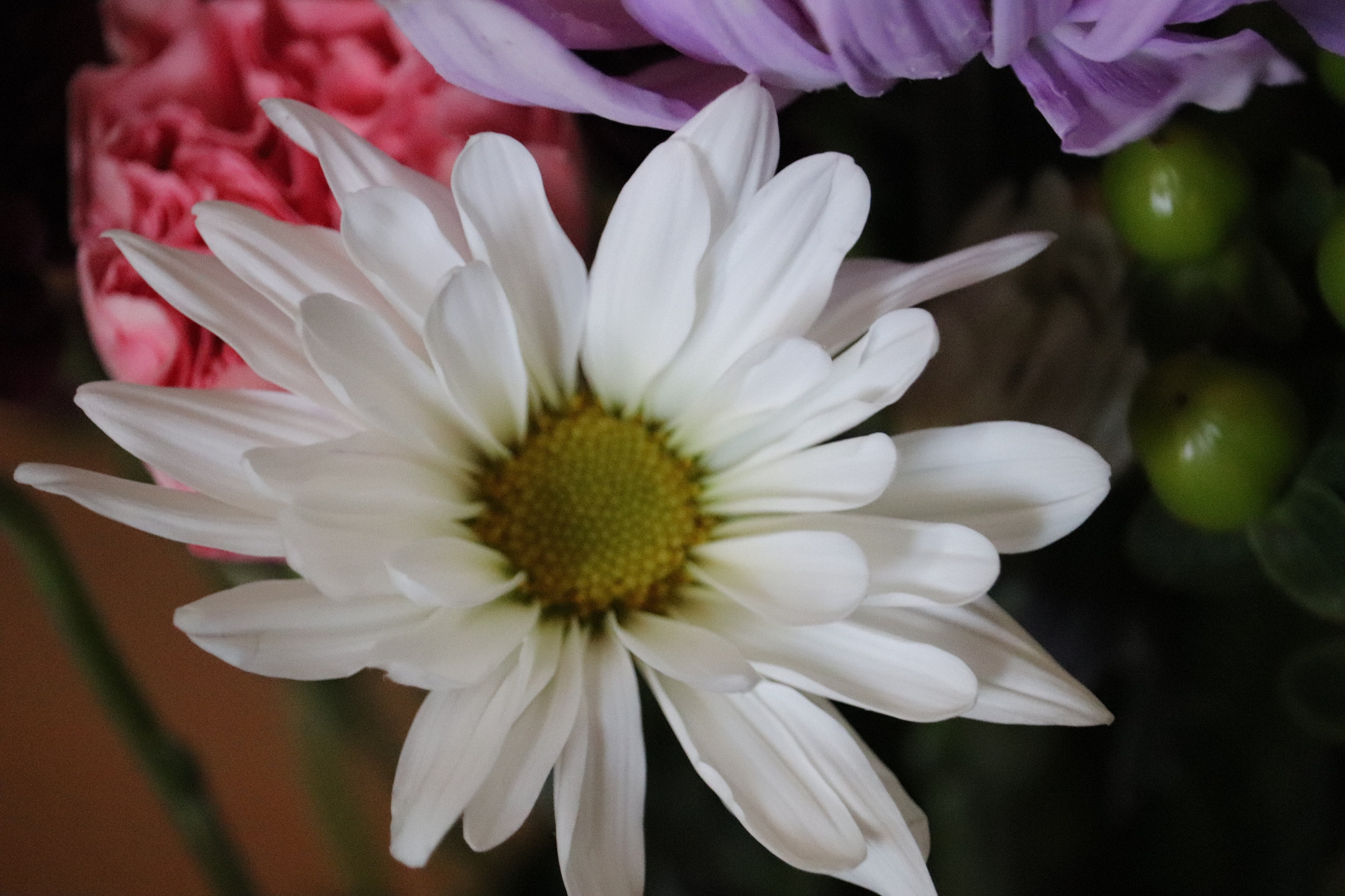 Canon EF-S 55-250mm F4-5.6 IS STM sample photo. Flowers photography