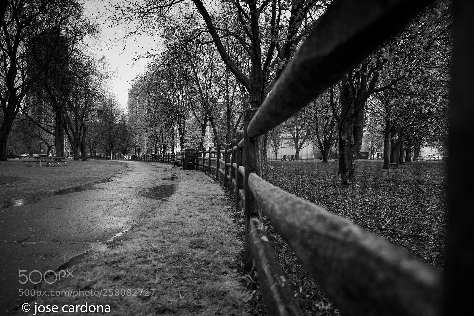 Nikon D850 sample photo. Wood fence  photography