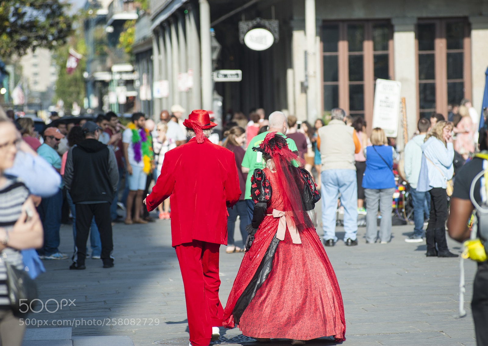 Nikon D700 sample photo. 20171202-_dsc8925.jpg photography