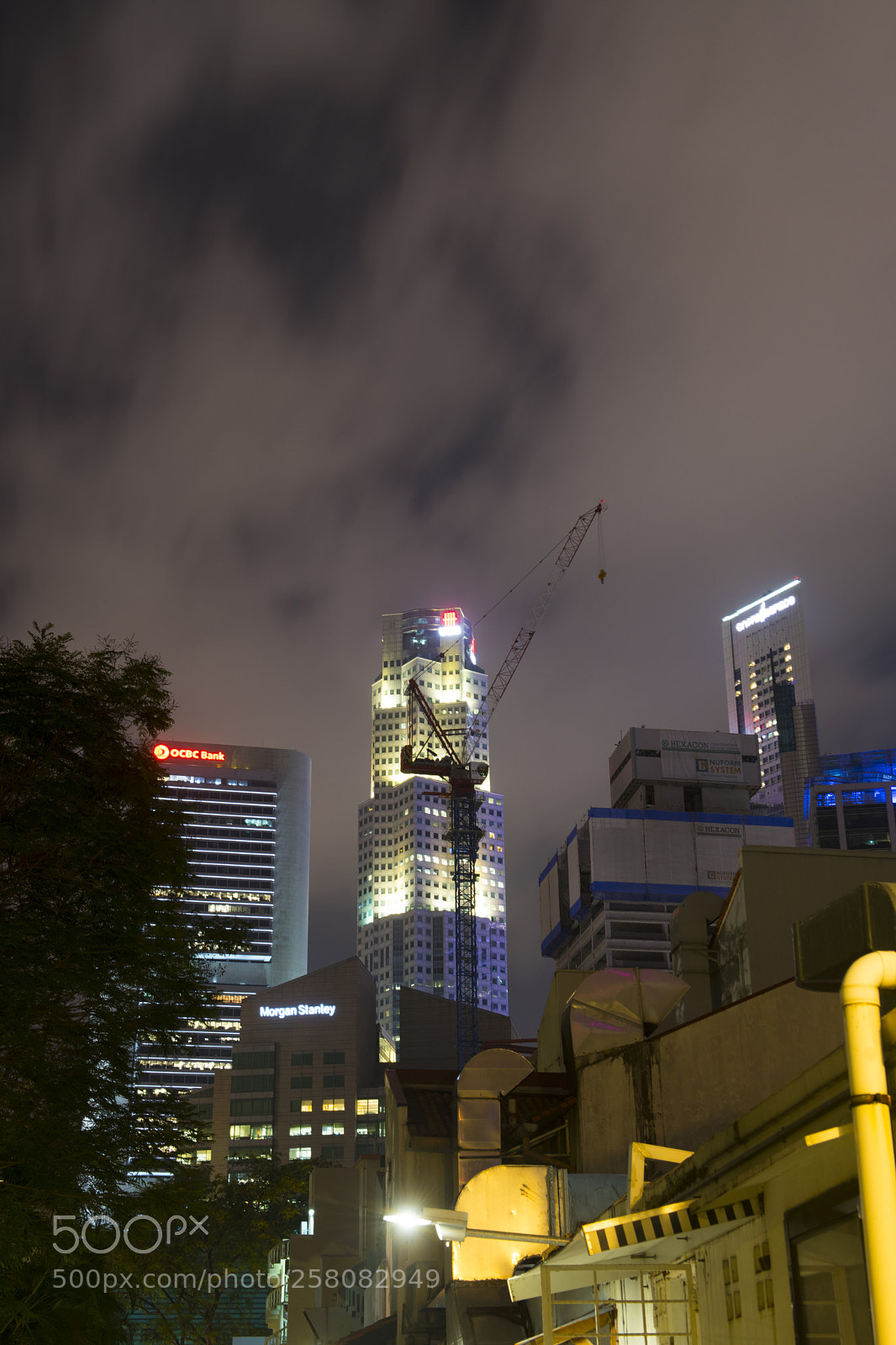 Nikon D850 sample photo. 20180312-_d850869.jpg photography