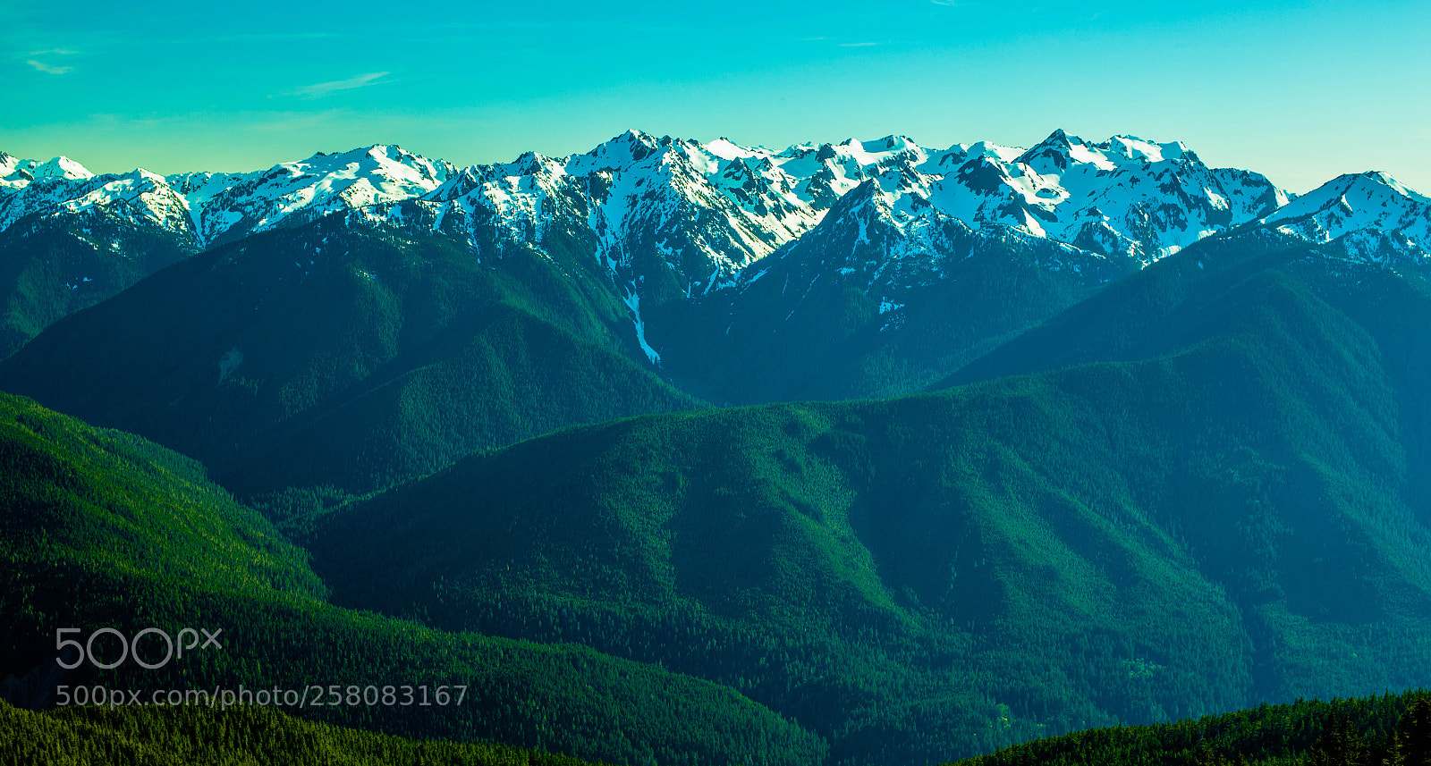 Canon EOS 6D sample photo. The olympics (wa state) photography