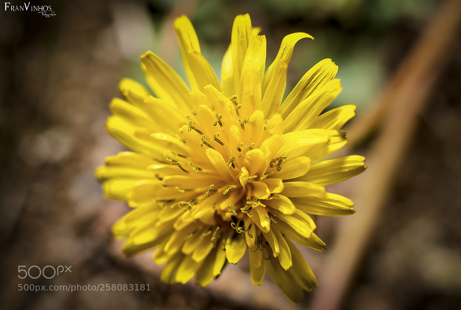 Canon EOS 70D sample photo. Untitled photography