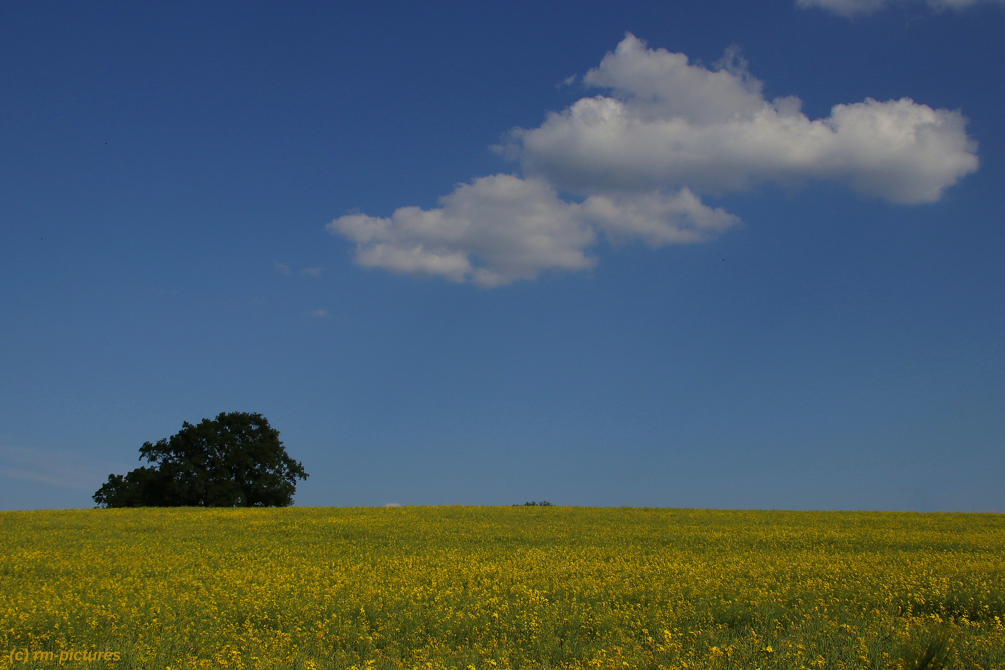 Canon EF 75-300mm F4.0-5.6 IS USM sample photo. Ein früher sommertag (landschaft bei treysa) photography
