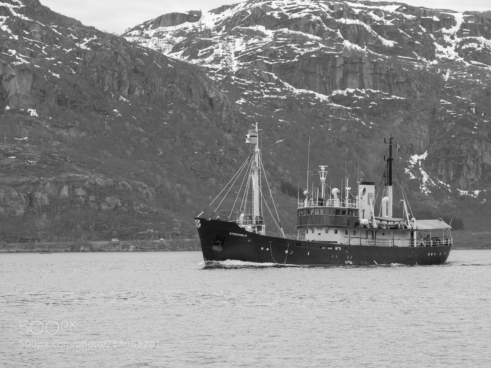 Olympus OM-D E-M10 II sample photo. Safary cruise photography