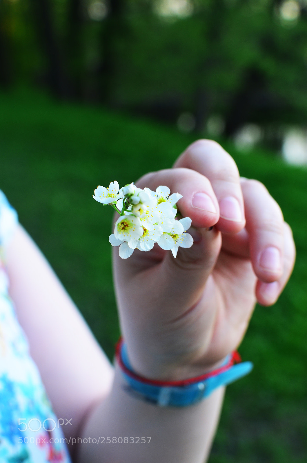 Nikon D5100 sample photo. 1 photography