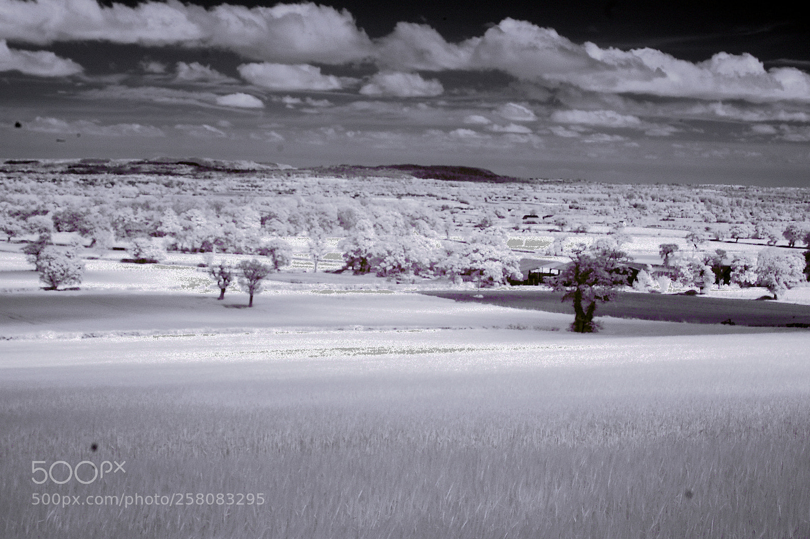 Nikon D50 sample photo. Cheshire plains mono photography