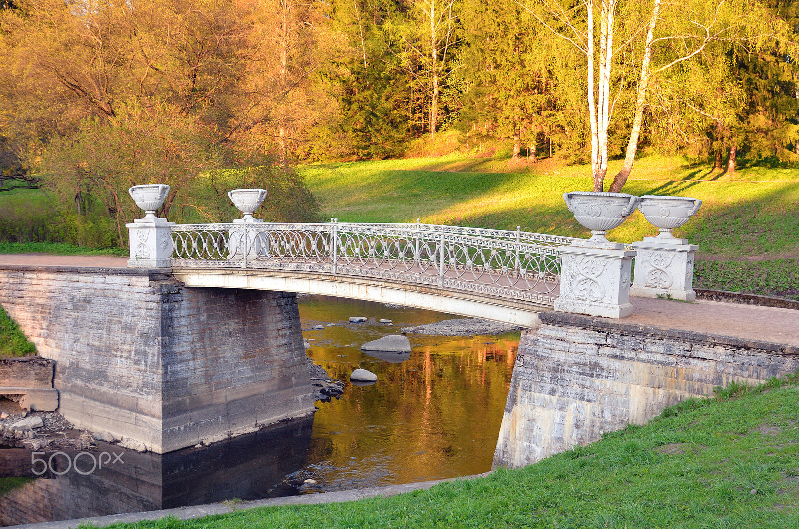 Nikon D610 sample photo. Cast-iron bridge in pavlovsk park. photography