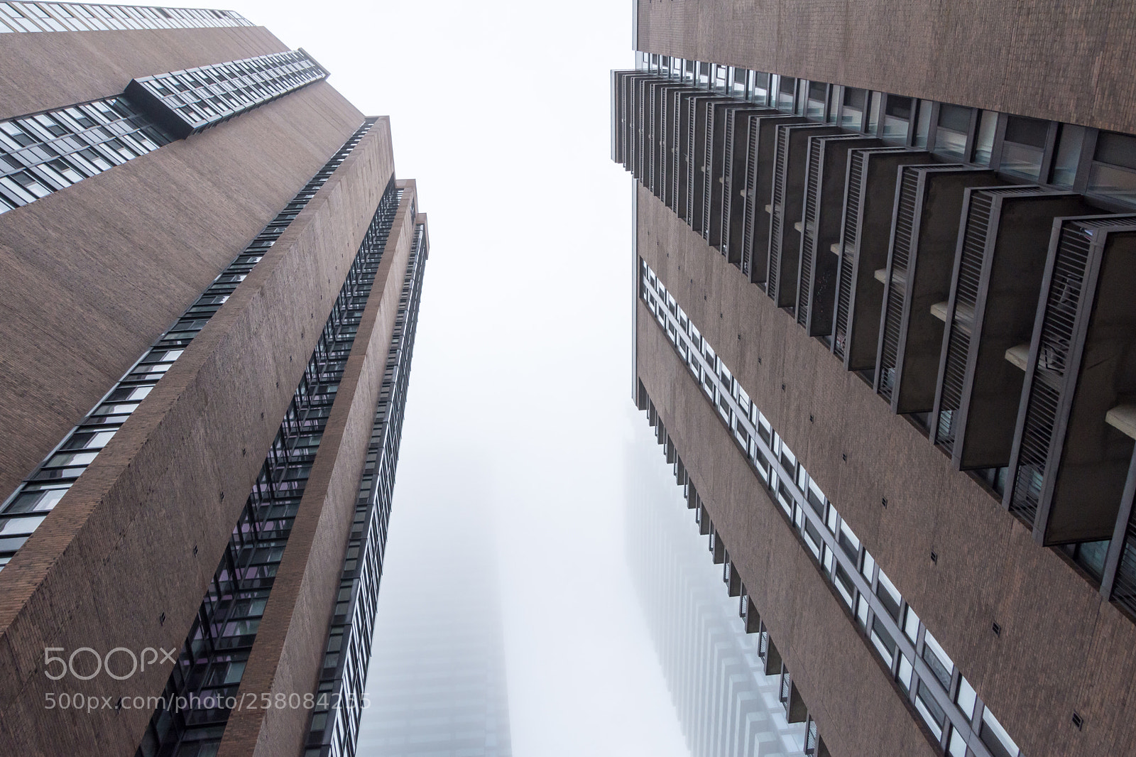Nikon D7200 sample photo. Foggy photography