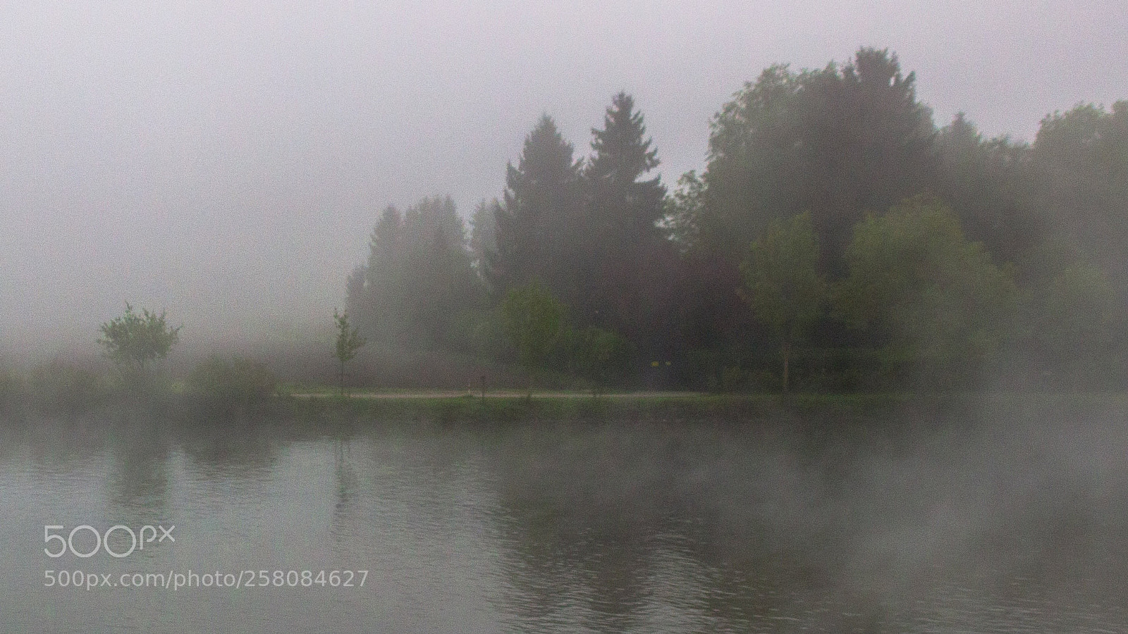 Canon EOS 600D (Rebel EOS T3i / EOS Kiss X5) sample photo. Fog photography