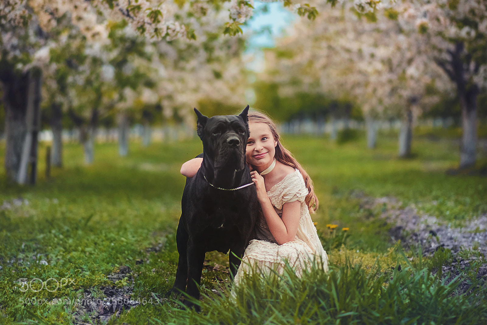 Nikon D610 sample photo. A d photography