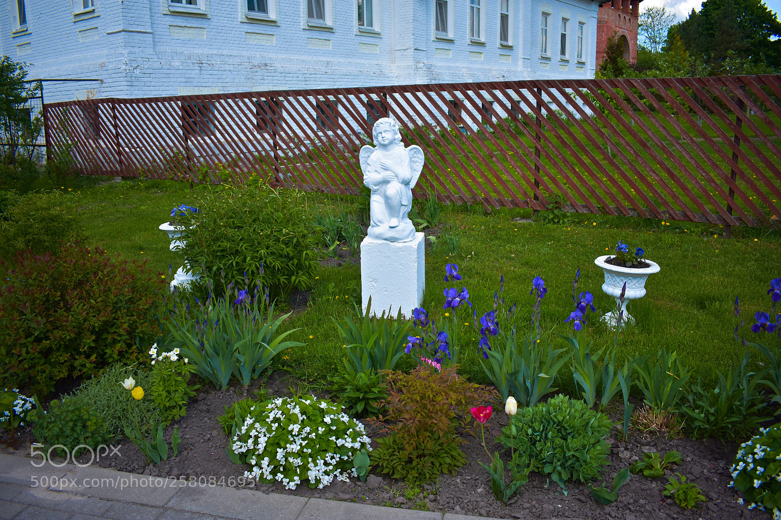 Nikon D3400 sample photo. Ангел photography