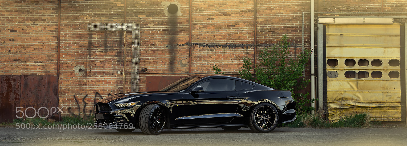 Canon EOS 6D Mark II sample photo. Mustang gt photography