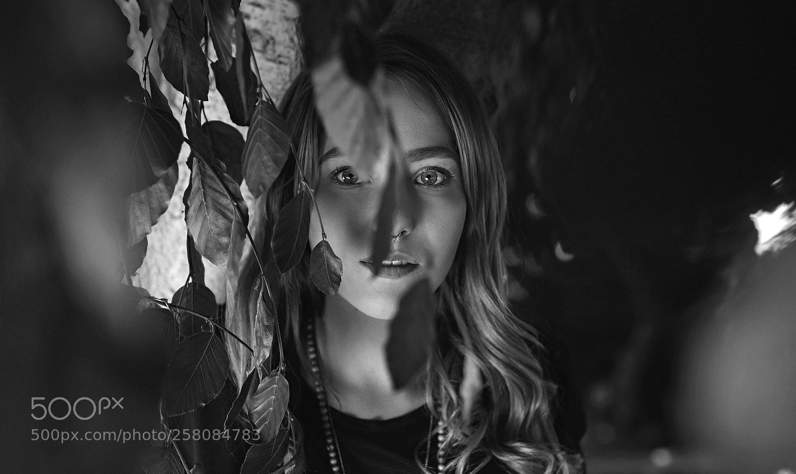 Canon EOS 6D sample photo. Soul of tree in photography