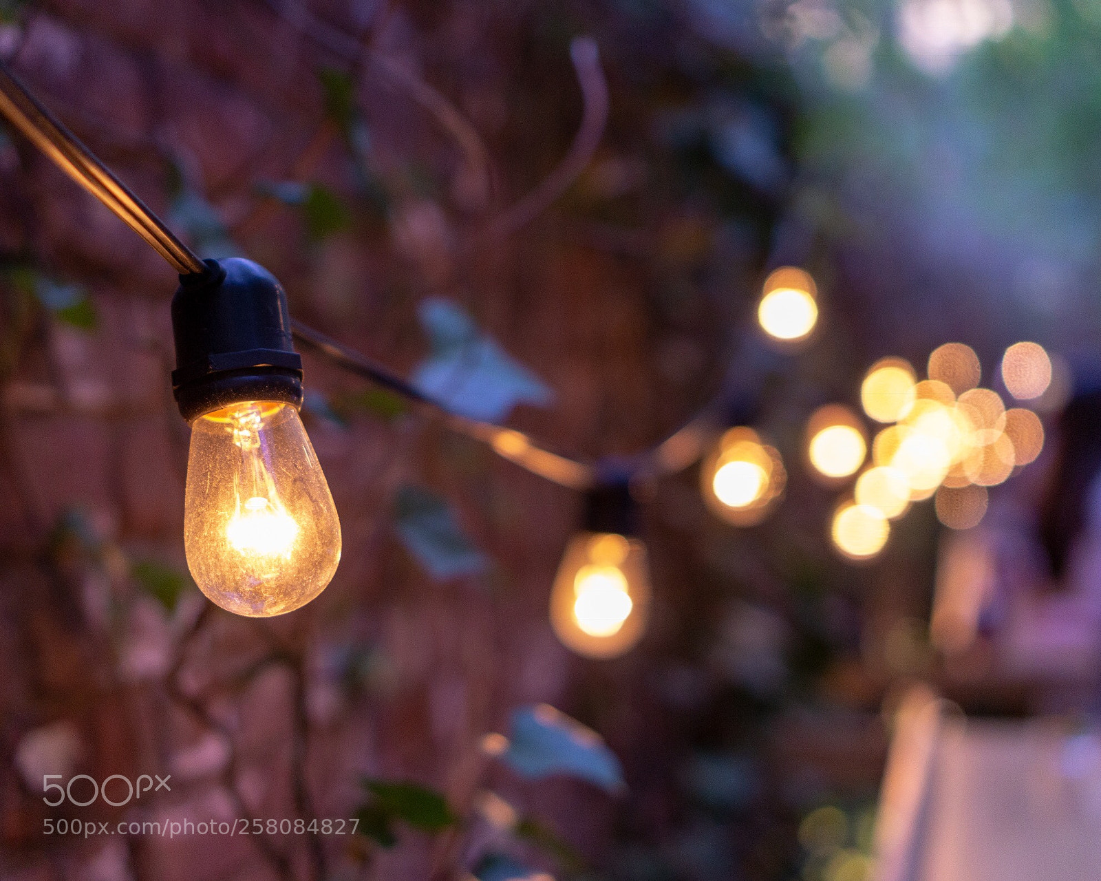 Sony a6000 sample photo. Lights photography