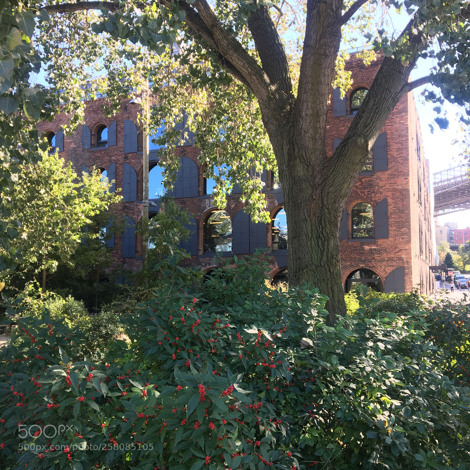 Apple iPhone 6s sample photo. Dumbo in brooklyn during photography