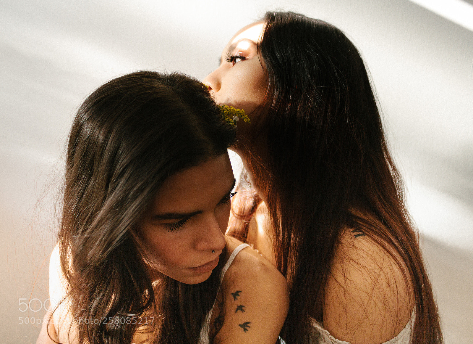 Canon EOS 7D sample photo. Herbivores photography