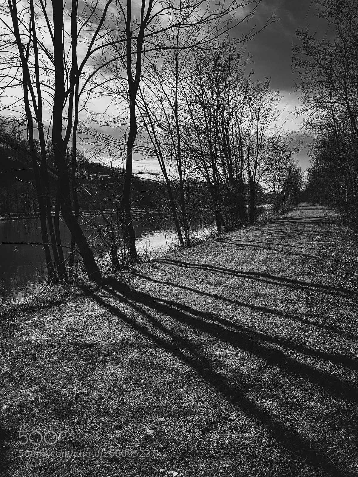 Samsung Galaxy S8 sample photo. Shadows game photography