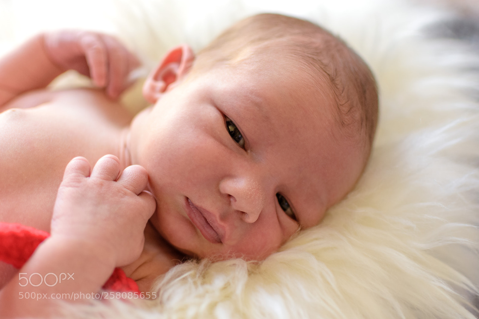 Nikon D7200 sample photo. Baby boy eyes photography