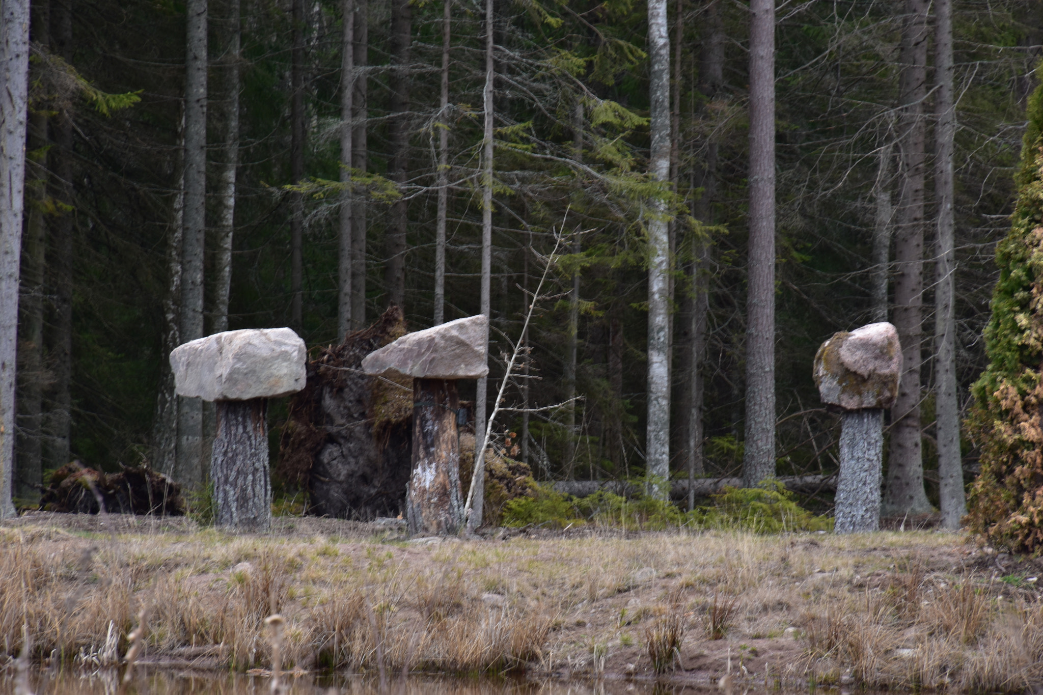 Nikon D7200 sample photo. Untitled photography