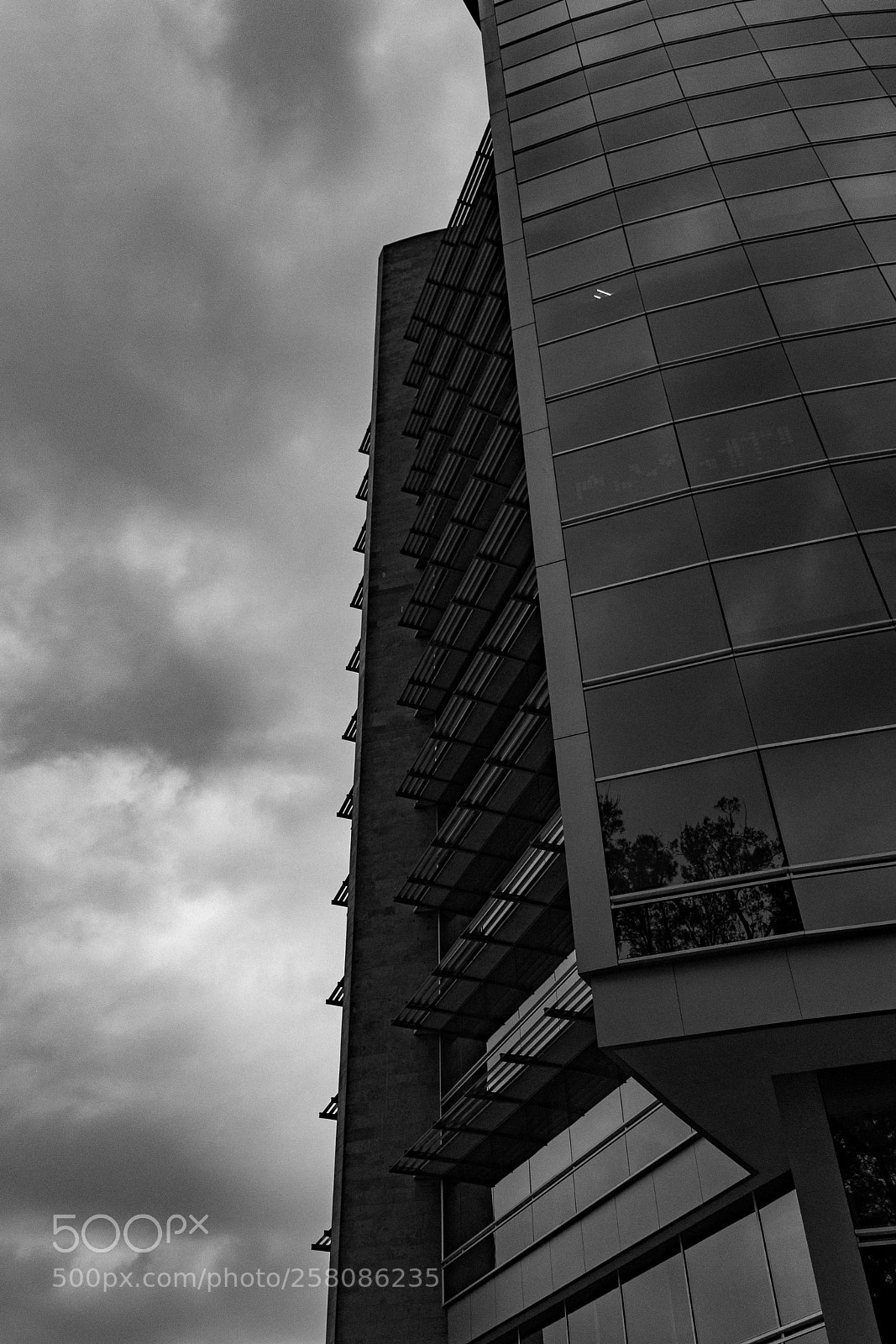 Nikon D3300 sample photo. Side to side 02 photography
