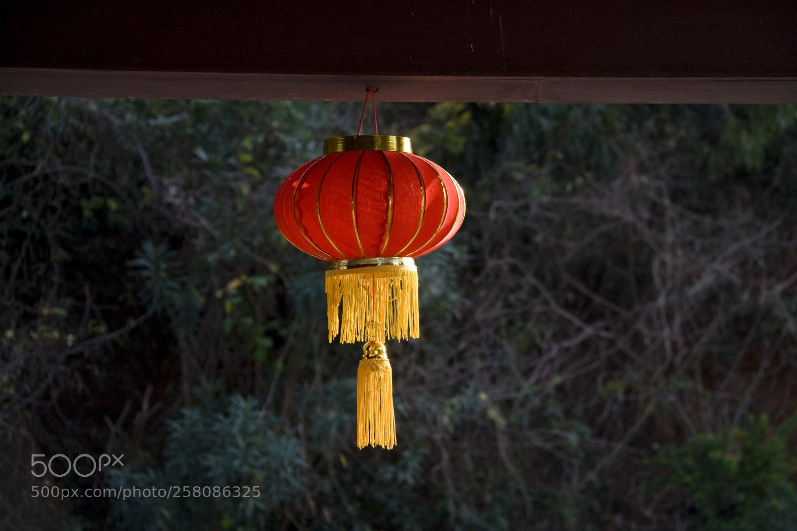 Canon EOS 350D (EOS Digital Rebel XT / EOS Kiss Digital N) sample photo. Red lantern photography