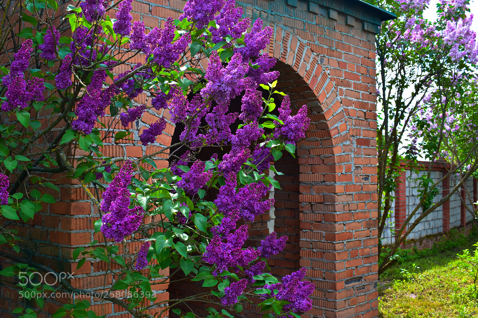 Nikon D3400 sample photo. *** photography