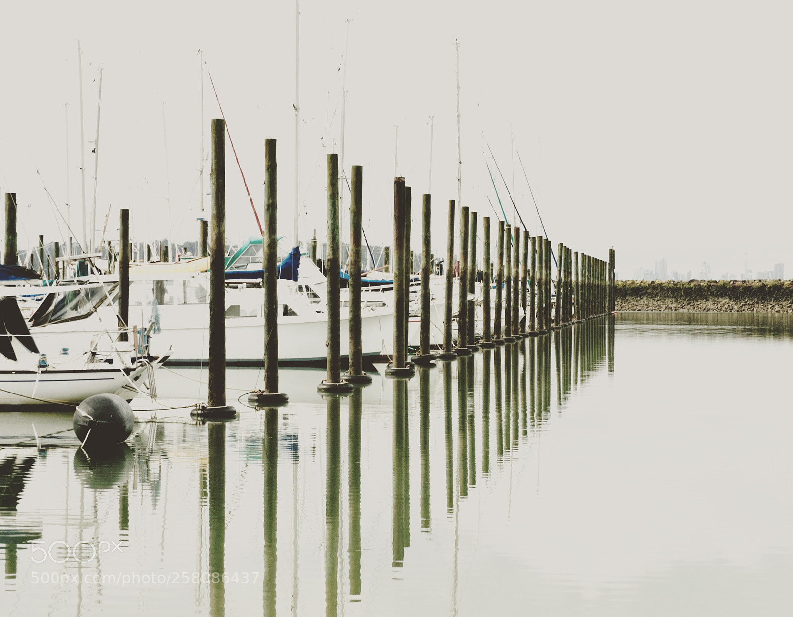 Nikon D3100 sample photo. Untitled photography