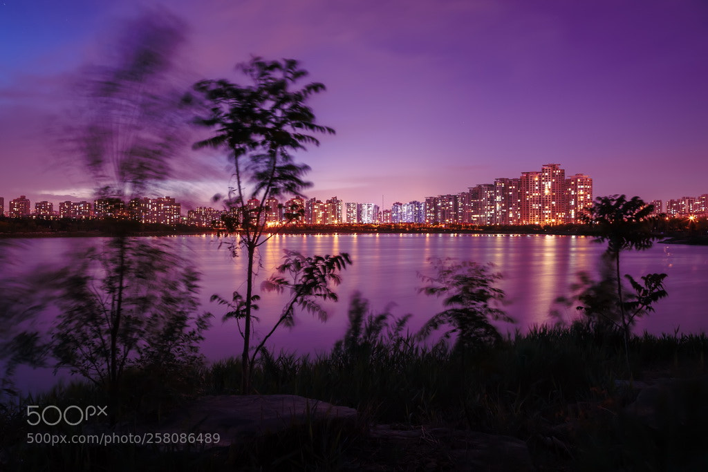 Canon EOS 6D Mark II sample photo. Purple night photography